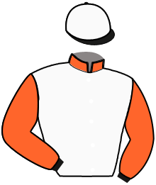 Casaque de LYNX DE BOMO