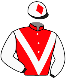 Casaque de SUPREME LIGHT