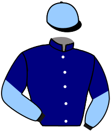 Casaque de LION IN ZION