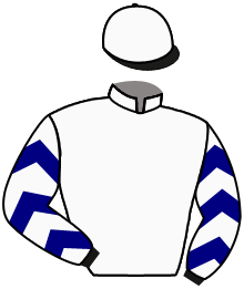 Casaque de FIRE DRAGON