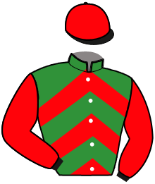 Casaque de GAI LOGIS