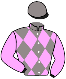Casaque de NIDORINO