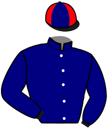 Casaque de JUNIOR INTRIGANT