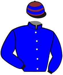 Casaque de IN AMERICA