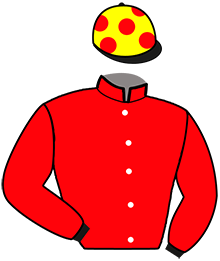 Casaque de MANHATTAN KABOUL