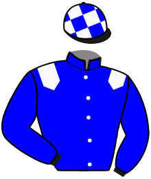 Casaque de MYSTIC DE VELY