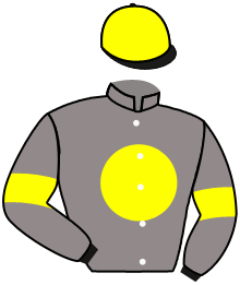 Casaque de STORM STAR