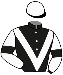 Casaque de GRAND CLERMONT