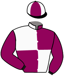 Casaque de CHARM PLATIN