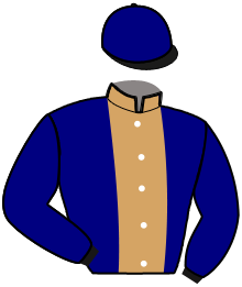 Casaque de NEW DEAL DU ROEN