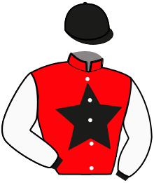 Casaque de NICOTINE DE LA FYE