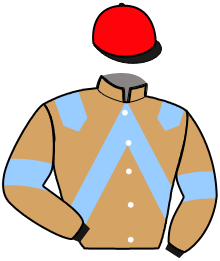 Casaque de MAMMA MIA OKINA