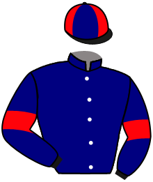 Casaque de CHESTNUT ROCKET