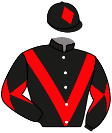 Casaque de GINGER TONIC