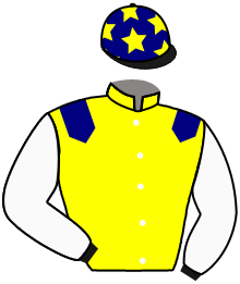 Casaque de FETE JOYEUSE