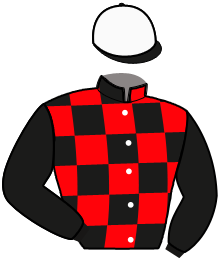 Casaque de LOKI DU CARMA