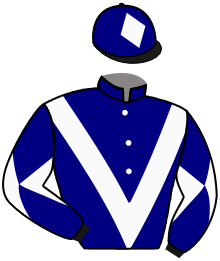 Casaque de ZIGGY SPACESTAR