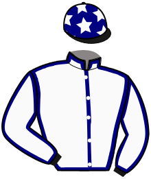 Casaque de MICHIGAN HAWK