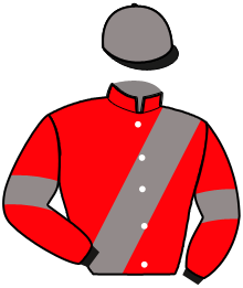 Casaque de JUSTESS VIKING