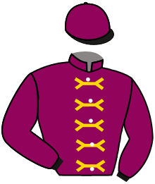 Casaque de PARACHUTISTE