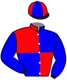 Casaque de PROVERBIAL