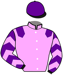 Casaque de IBIS DE FRECA