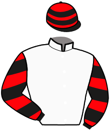 Casaque de HYMNE DU GERS