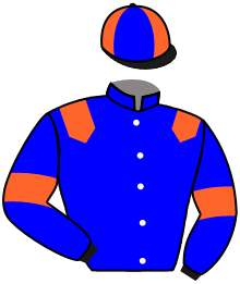 Casaque de DYNAMITIC