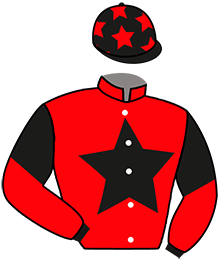 Casaque de JOUR DE JUIN