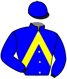 Casaque de DUBLIN FI