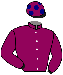 Casaque de HALF SOVEREIGN