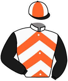 Casaque de LEGOLAS TEK