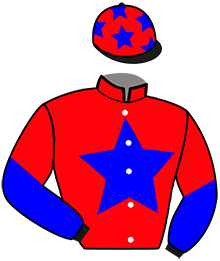 Casaque de MISTERJO DE LIGNY