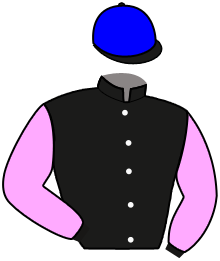 Casaque de KIWI PHIL