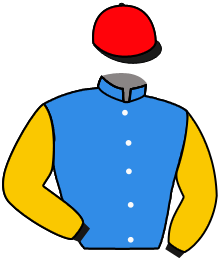 Casaque de DIEGO VENTURA