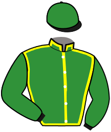 Casaque de REDBULL PELLINI