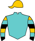 Casaque de MUNECO DASH