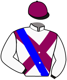 Casaque de WINNER HORSE