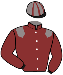 Casaque de KOALA DU DROPT