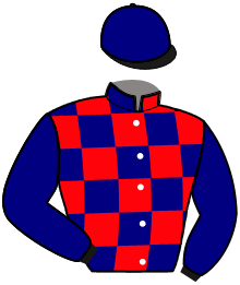 Casaque de LINCOLN HAWK