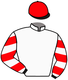 Casaque de GREAT ART