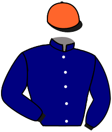 Casaque de BANDETOBEALIVE