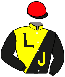 Casaque de NEVER GIVE UP ALLY