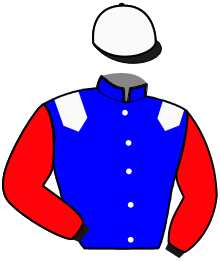 Casaque de LEADER DE JOUDES