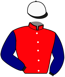 Casaque de HYPERVISOR LE FOL