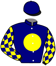 Casaque de TRIBUTARIES