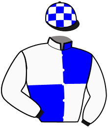 Casaque de NINJA DE CHANLECY