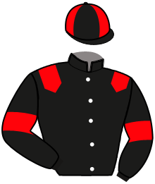 Casaque de MIRAGE DE BRAY