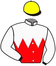 Casaque de COUNTRY CLUB