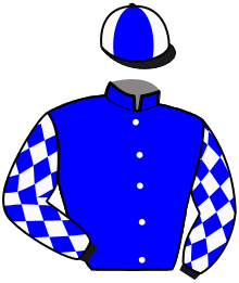 Casaque de DYNAMITE SENSATION